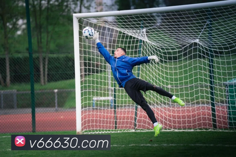 V66体育平台生态图